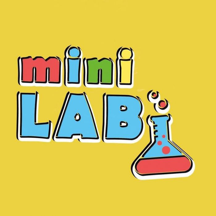 Mini LAB Warsztaty Laboratoryjne