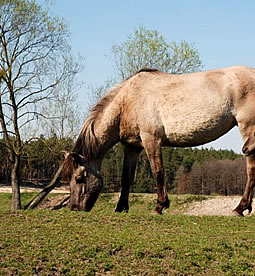 Roztoczański Park Narodowy – Raj Pani Natury